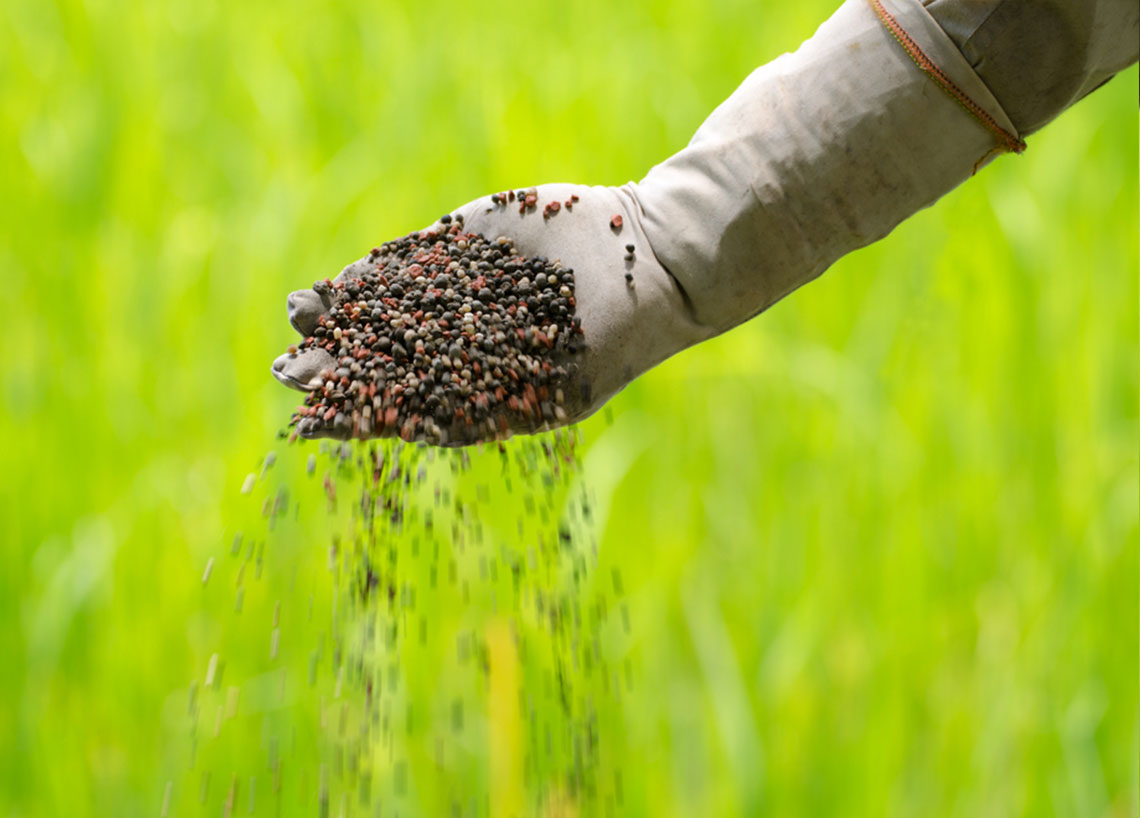 FERTILIZER